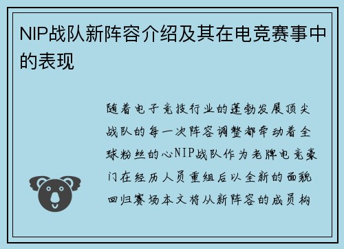 NIP战队新阵容介绍及其在电竞赛事中的表现