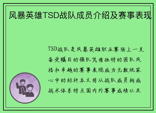 风暴英雄TSD战队成员介绍及赛事表现